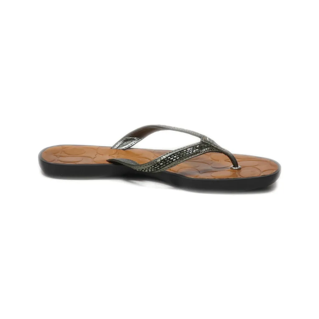 Coach Flip Flops Fabric Grey Colour For Women